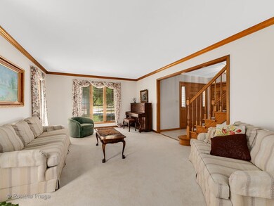 1008 Hamlet Rd, Naperville, IL 60564 - photo 2