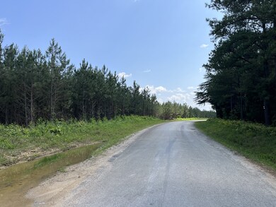 1 Rockhouse Rd, Flatwoods, TN 37096 - photo 7