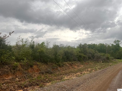 000 Par Road 319, Chatham, LA 71226 - photo 3