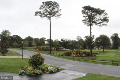 29427 Cripple Creek Dr, Dagsboro, DE 19939 - photo 6