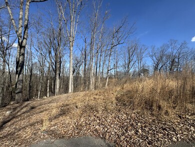 37 Village Dr, Cohutta, GA 30710 - photo 2