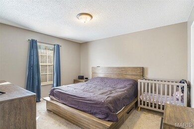 2216 Gregory Dr, Pacific, MO 63069 - photo 7