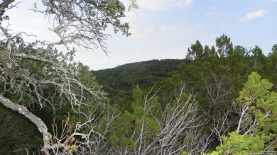 17320 Rd, Helotes, TX 78023 - photo 6