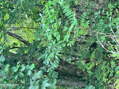 0 Wiley Prigmore Ln, Decatur, TN 37322 - photo 6