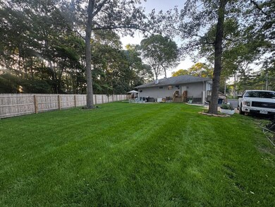 Yard