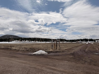 2533 E Meadow Lake Dr, Brian Head, UT 84719 - photo 5