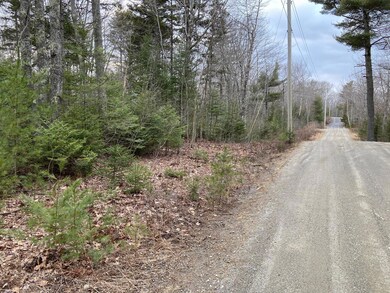 0 Russell Rd unit 1486801, Bristol, ME 04539 - photo 4