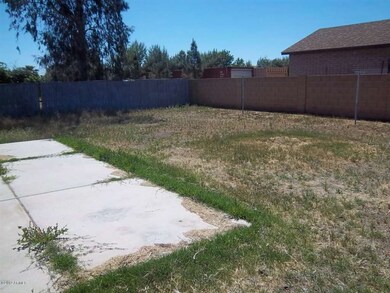 Back Yard 1