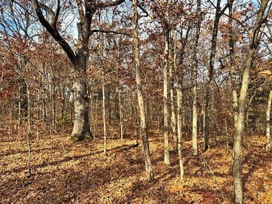 000 SE 500 Rd, Collins, MO 64738 - photo 7