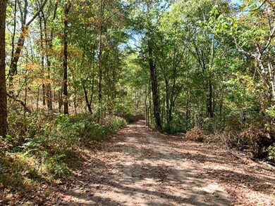 0 Bethel Rd, Prospect, TN 38477 - photo 5