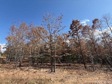 13 Summer Tyme Dr, Greenbrier, AR 72058 - photo 3