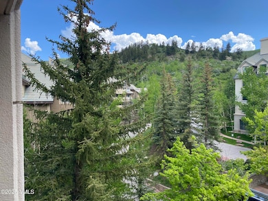 100 E Thomas Place unit 3054, Week 7, Beaver Creek, CO 81620 - photo 4