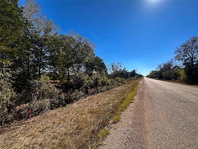 Lot 9E Foothill Rd, Camp Swift, TX 78602 - photo 3
