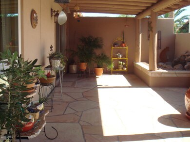 Patio-view 3