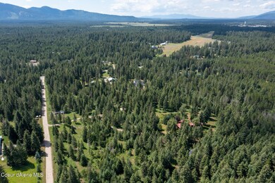 32249 N Rock Springs Rd, Athol, ID 83801 - photo 5