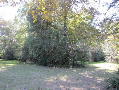 29520 Tudor Way, Magnolia, TX 77355 - photo 6