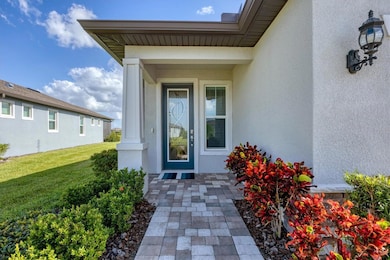 10658 Spring Tide Way, Parrish, FL 34219 - photo 6