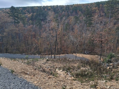 #72 Boktuklo Mountain unit 72, Honobia, OK 74957 - photo 7