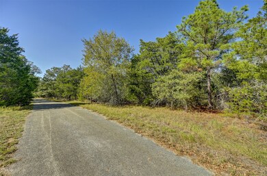 TBD Mountain Valley Dr, Smithville, TX 78957 - photo 2