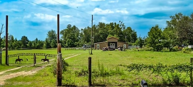 260 Our Town Rd, Wewahitchka, FL 32465 - photo 3