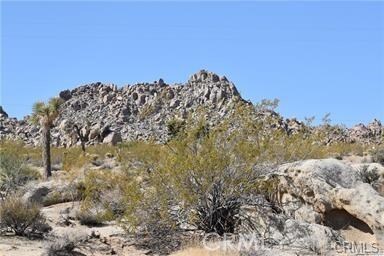 7157 Sunkist Rd, Joshua Tree, CA 92252 - photo 6