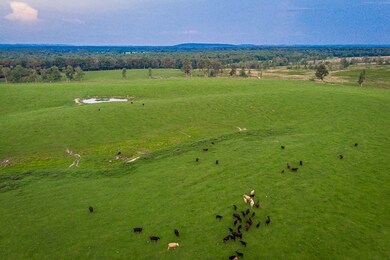 416 Karl Hillis Rd, Rock Island, TN 38581 - photo 3