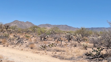 Land for sale_arizona_deana means_2