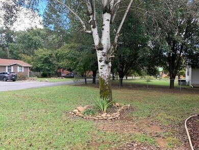 171 front yard