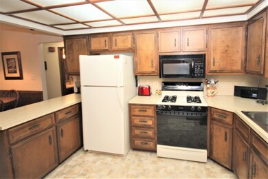 IMG_1383 (2)