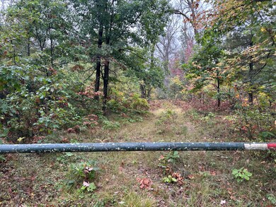 v/l S Broadway St, Baldwin, MI 49304 - photo 2