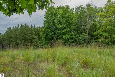 00 Hansel Strause Rd E, Custer Township, MI 49615 - photo 7