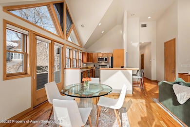 605 W Main St unit PH-A, Aspen, CO 81611 - photo 5