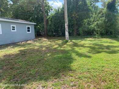 back yard 1