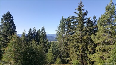 0 Breckenridge Dr unit 1006445, Ronald, WA 98940 - photo 7