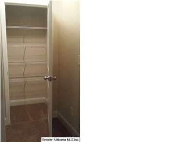 Hall Linen Closet
