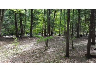 303 Lost River Rd, North Woodstock, NH 03262 - photo 5