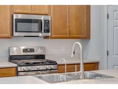 3997 Forest Lake Ct, Loveland, CO 80538 - photo 7