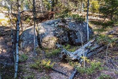 TBD Arrowhead Rd, Florissant, CO 80816 - photo 4