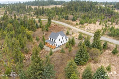 73329 Harry Olson Rd, Anchor Point, AK 99556 - photo 2