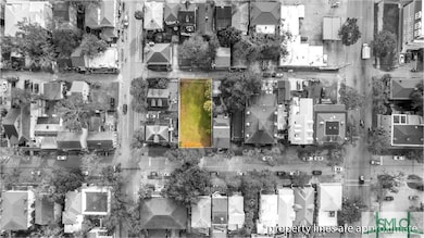 217 E Park Ave, Savannah, GA 31401 - photo 3