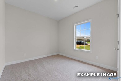 225 Pine Island Ave, Toney, AL 35773 - photo 5