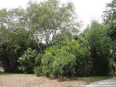 16817 Pescador, Helotes, TX 78023 - photo 4