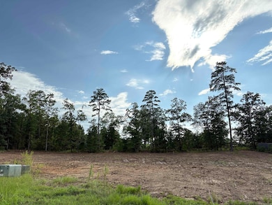 336 Waterview Meadows Ln, Roland, AR 72135 - photo 2