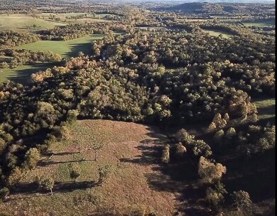 7776 State Highway 39, Aurora, MO 65605 - photo 6