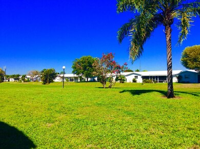 VENETIAN BACK YARD AREA