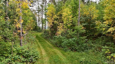 TBD19 Norwich Rd, Ontonagon, MI 49953 - photo 3