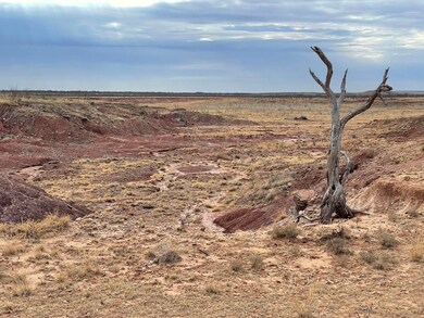 0 U S 180 unit 4204210, Gail, TX 79738 - photo 7