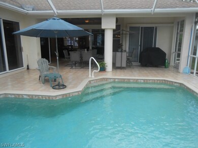 Large Lanai and Pool