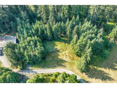 173 Jims View Rd, Castlerock, WA 98611 - photo 7