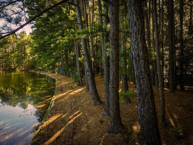 Anderson County Road 445, Brushy Creek, TX 75803 - photo 4